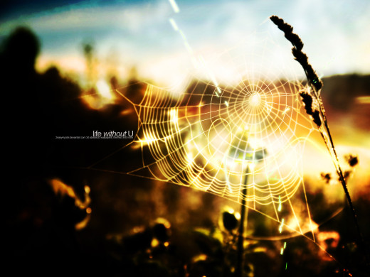 39109 (a): :1600x1200